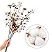 Ageomet 4pcs Cotton Stems 21