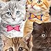 Duck 241704 Printed Duct Tape Single Roll, 1.88 Inches x 10 Yards, Kitten Kitty Cat