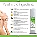 Face Cream Moisturizer, Anti Aging Ingredients for Women & Men, Light Face Cream with Natural and Organic Ingredients for Wrinkles and Aging, Best for Travel, Day and Night