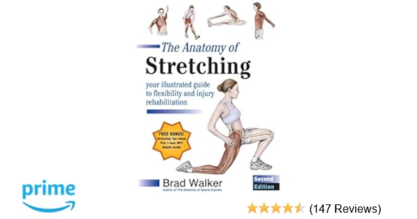 The Anatomy Of Stretching Second Edition Your Illustrated - 