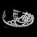 Vinida Crystal Tiara Crown Headband for Wedding Prom Bridal Birthday (Sliver)