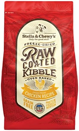 little bulldog puppies