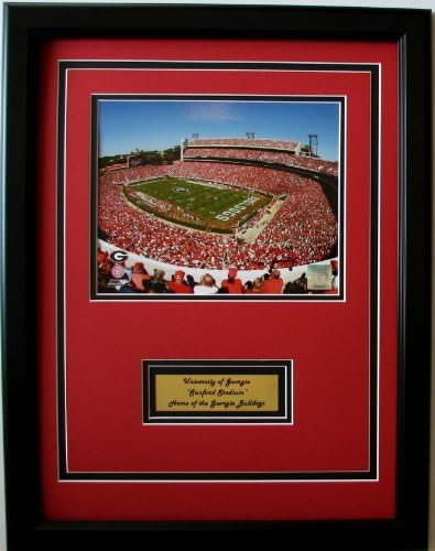 NCAA Georgia Bulldogs Sanford Stadium Framed Portrait Photo with Nameplate