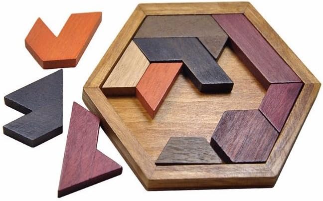 Natureich Rätsel Puzzle à emboîter avec Formes géométriques et Briques de Bois pour Enfants à partir de 4 Ans