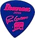 Ibanez B1000PG Paul Gilbert Signature Picks 6 Pack (B1000PGJB