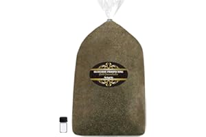 Sluiceboy Prospecting - 5 Pound Nugget Paydirt Guaranteed Gold + Free Glass Vial - Mine for Gold at Home! Larger Nuggets