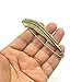 Aligle 4 Pcs Brooch Bronze Vintage Oversize Extra-Large Pins/Safety Pins Exotic Bamboo for Blankets, Skirts, Kilts, Crafts
