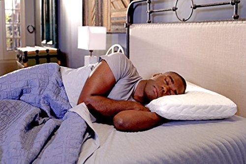 Tempur Pedic TEMPUR Cloud Pillow, 1 Count (Pack of 1)