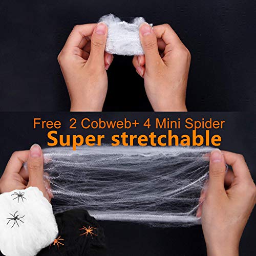 image for Crazy Pumpkin Halloween Spider Decoration 60