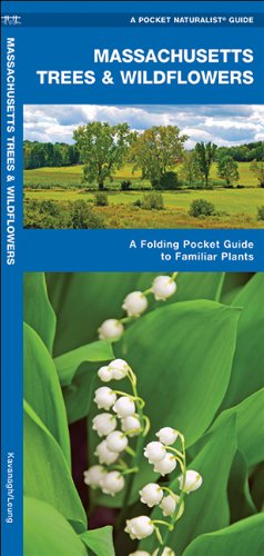 Massachusetts Trees & Wildflowers: A Folding Pocket Guide to Familiar Species (Pocket Naturalist Guide Series)