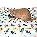 Splat Mat, Waterproof, Washable for Floor or Table, Under Highchairs, Art, Crafts, Playtime – Dinosaur
