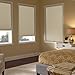The Miro Brand Set of Two - 9/16 in. Trimmable Room Darkening Ivory Cordless Cellular Window Shades, 36 by 64 in.