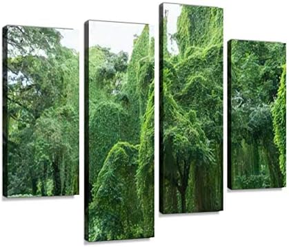 Beautiful Massive Jungle Trees Having Large Branches And Lush Green Canvas Print Artwork Wall Art Pictures Framed Digital Print Abstract Painting Room Home Office Decor Ready To Hang 4 Panel Amazon Ae