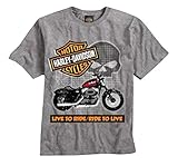 Harley-Davidson Little Boys' Tee, Short Sleeve Ride To Live, Gray 0484226