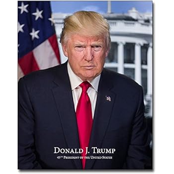 Amazon.com: President Donald Trump Official Presidential Portrait With ...