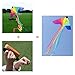 BESTOYARD Kite Huge Rainbow Kite for Kids and Adults Colorful Kite with 100M Flying String,78 Inches Wide,4 Tails