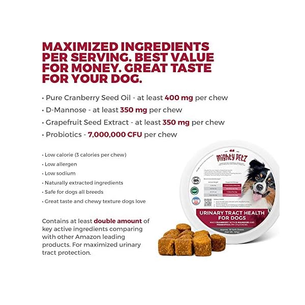 Mighty Petz MAX Cranberry for Dog UTI Treatment Urinary Tract, Kidney