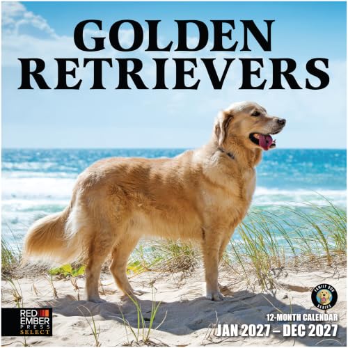 Golden Retrievers 2027 Wall Calendar