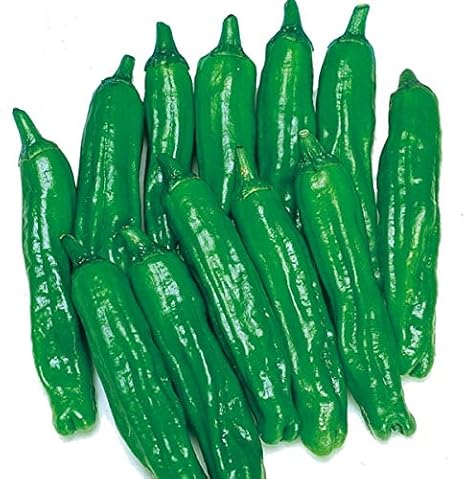 Amazon 国華園 種 野菜たね ピーマン シシトウ 強健ししとう 1袋 0 5ml メール便配送 21年春商品 野菜 Amazon 国華園 種 野菜たね ピーマン シシトウ 強健ししとう 1袋 0 5ml メール便配送 21年春商品 野菜