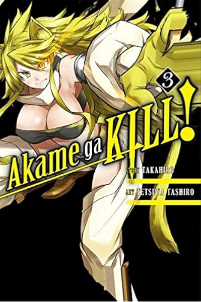 Akame Ga Kill Vol 3 Takahiro Tashiro Tetsuya 9780316340045 Amazon Com Books