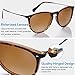 CARFIA Trendy Sunglasses for Women Polarized UV Protection Classic Retro Style CA5100