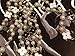 Fashion Jewelry Bridal and Chic Long Imitation Pearl Clover Strand Necklace (Black Clover)