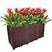 BAOYOUNI Rectangular Raised Garden Bed Kit Indoor Outdoor Plastic Planter Grow Box for Fresh Vegetables, Herbs, Flowers & Succulents, Brown, 46.06” x 15.35” x 20.47”thumb 1