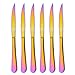 HOMQUEN Steak Knife Steak Knives Set, Stainless Steel Flatware Set of 6 Pieces, Mirror Polish and Rainbow Color PVD Coating (Colorful)