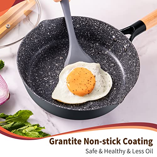 Nonstick Deep Saute Pan with Lid, 9.5inch Frying Pan Skillet with Wood