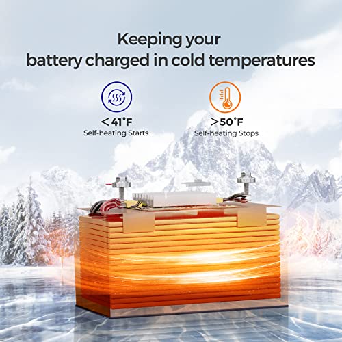 Renogy Smart LithiumIron Phosphate Battery 12V 100Ah w/ SelfHeating