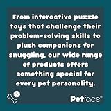 Petface Toyz Quad Woven Rope Ball Dog Toy view 3