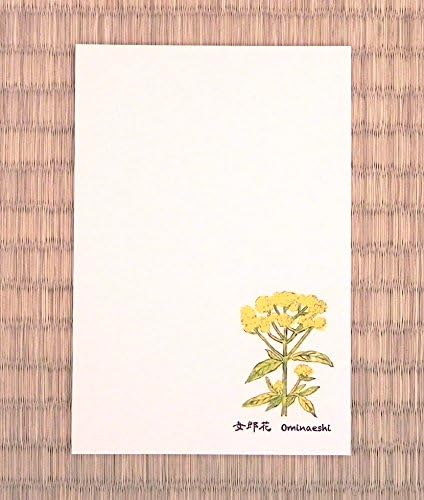 Amazon 日本の花 秋の花 秋の七草 手づくり絵はがき 女郎花 おみなえし 5枚入 牛乳パック100 再生板紙 ミルパックス 敬老の日 挨拶状 絵葉書 ポストカード ポストカード 絵柄付はがき 文房具 オフィス用品
