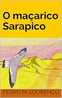 Livro O maçarico Sarapico