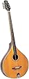 Amazon Com Trinity College Tm 375 Standard Irish Bouzouki