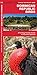 Dominican Republic Birds: A Folding Pocket Guide to Familiar Species (Wildlife and Nature Identification) by 