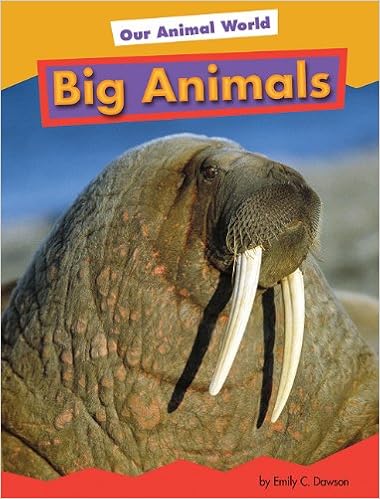 Amazon Com Big Animals Our Animal World 9781607530084 Adamson Heather Books