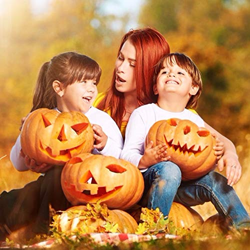 LOVEINUSA 14 Piece Professional Pumpkin Carving Tool Kit Carve Sculpt Halloween Jack-O-Lanterns