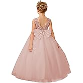 Flower Girl Dress for Wedding First Communion Dress Puffy Tulle Kids Pageant Ball Gowns