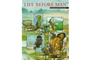 Life Before Man