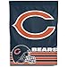CHICAGO BEARS NFL VERTICAL FLAG (27X37)