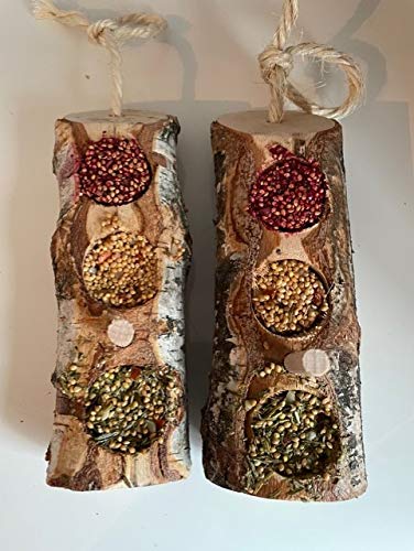 Wild Bird Log Feeder with Seeds and Perch (Pack of 2)
