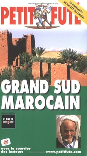Download Petit Futé Grand Sud marocain PDF