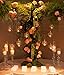 Sziqiqi 3.15inch Glass Globes Hanging Tea Light Holder Glass Terrarium Container Wedding Candle Holder Centerpiece Hanging Decoration Christmas Ornaments 20pcs+4 Extra