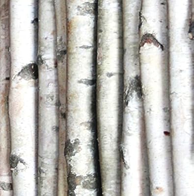 Amazon Com Decorative Birch Poles 8ft 4 Poles 1 1 2 2 1 2 Dia
