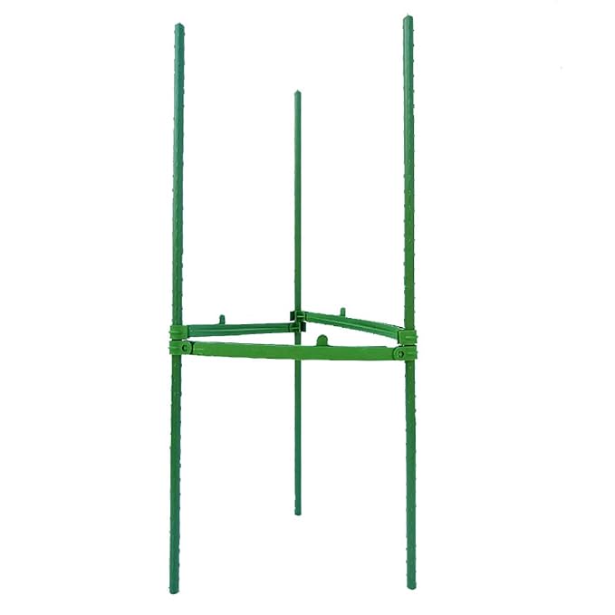 STSERI Anillo de Soporte para Plantas, jaulas de Soporte para ...