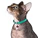 CollarDirect Leather Cat Collar, Cat Safety Collar with Elastic Strap, Kitten Collar with Bell Black Blue Red Orange Lime Green (Navy Blue, 9-11 Inch)