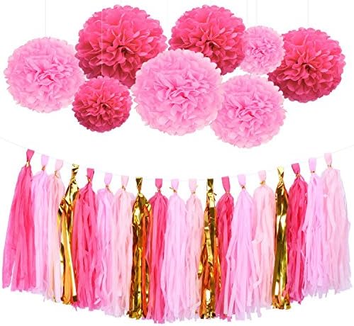 Jesipi Princess Pink Paper Flowers Paper Garlands Party Decorations Pack Tissue Pom Poms Tissue Tassels Garlands Baby Shower Birthday Party Decorations(Pack of 23)