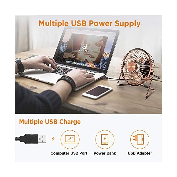 EasyAcc-USB-Desk-Fan-5-Inch-Desktop-Silent-Fan-Air-Circulator-2-Speeds-360-Rotation-Brushless-Motor-Noiseless-for-Home-and-Office-Laptop-Notebook-PC-Desk-Table-Fan-Metal-Brone EasyAcc USB Desk Fan 5 Inch Desktop Silent Fan Air Circulator 2 Speeds 360° Rotation Brushless Motor Noiseless for Home…