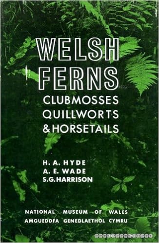 Welsh Ferns Clubmosses Quillworts And Horsetails Descriptive Handbook Hyde H A Wade A E Harrison S G Amazon Com Books