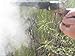 Shooting Black Powder Guns